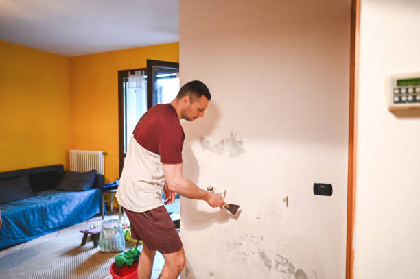 Best Water Damage Restoration  in Comer, GA